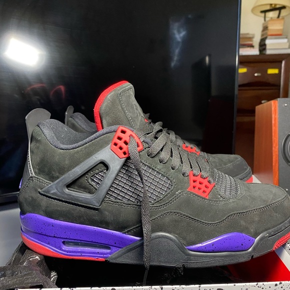 Jordan 4’s Retro raptor main image 5